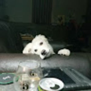 Meet your Posher, Richard